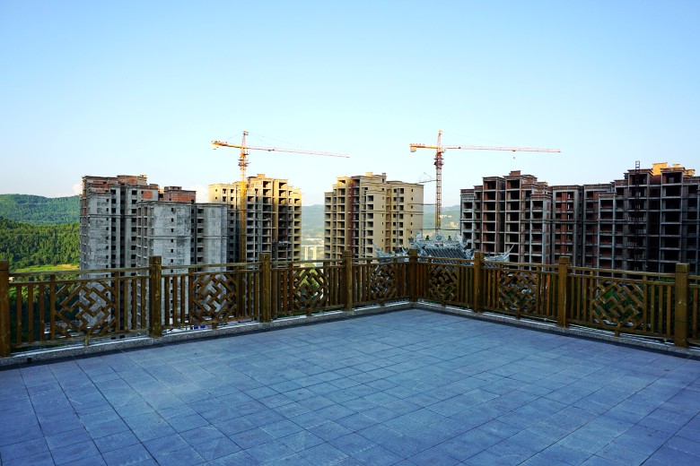 DSC01226_conew1.jpg