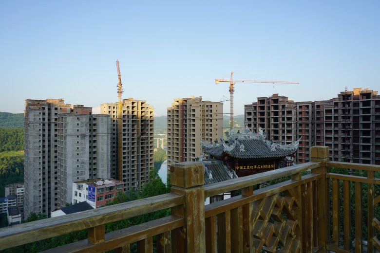 DSC01222_conew1.jpg