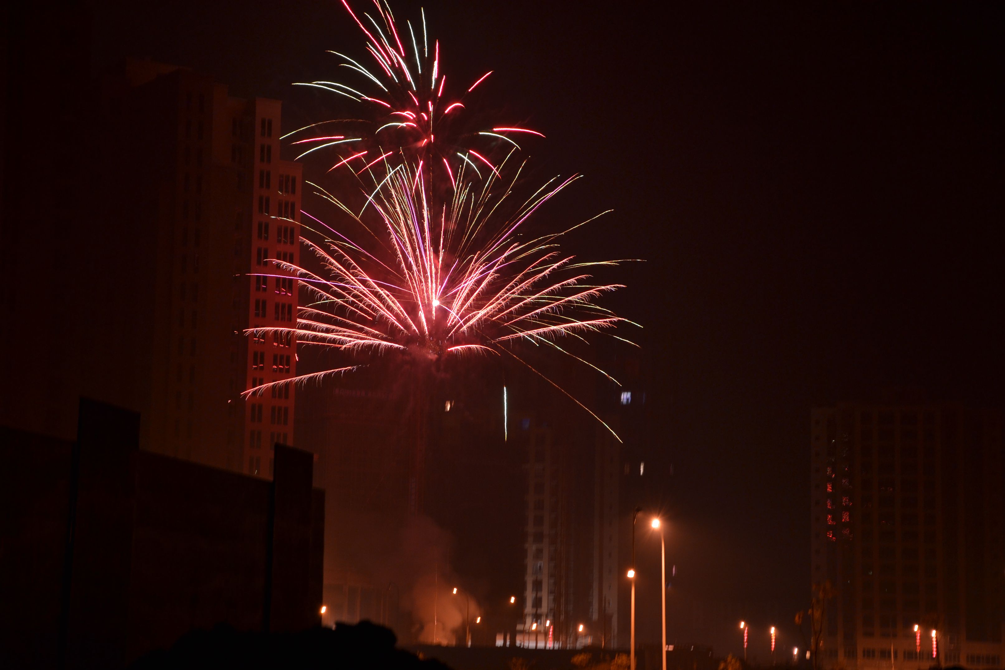 DSC_0210_.jpg