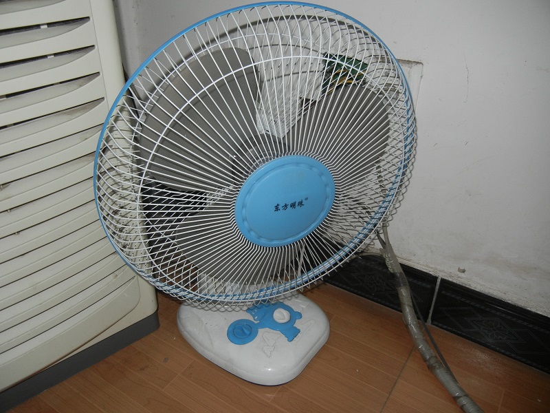 DSCN5374.JPG