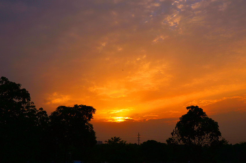 DSC_7853_.jpg