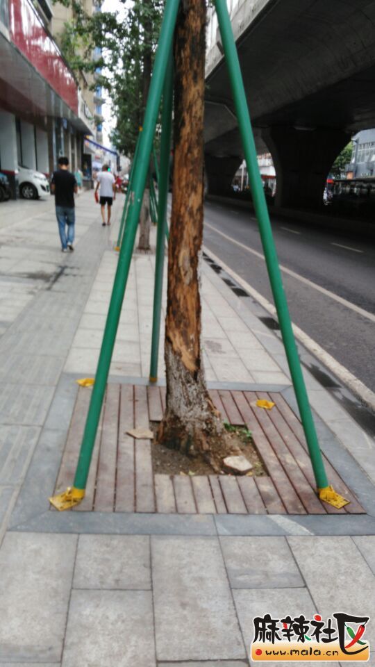 QQͼƬ20150724105702.jpg