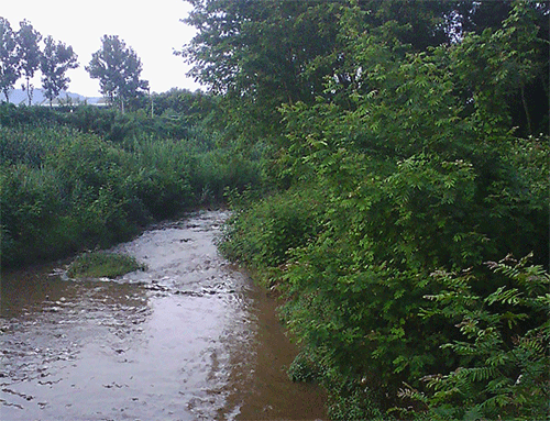 4.gif