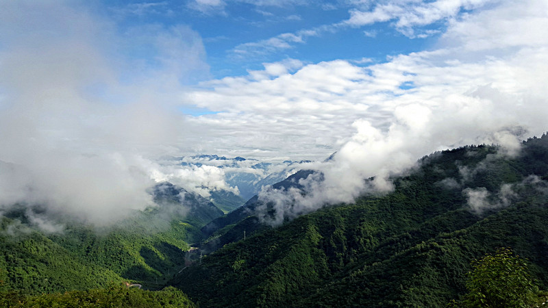 20150705_082819.jpg
