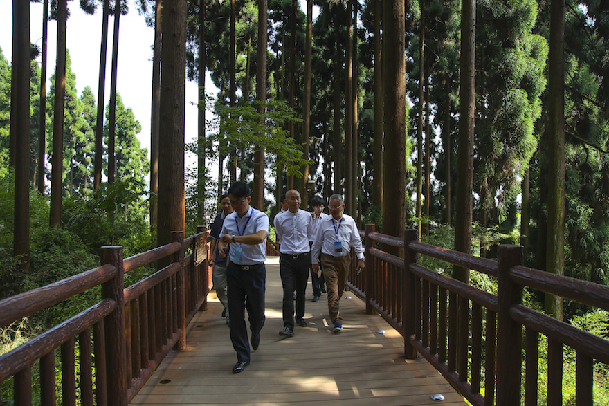 03.jpg