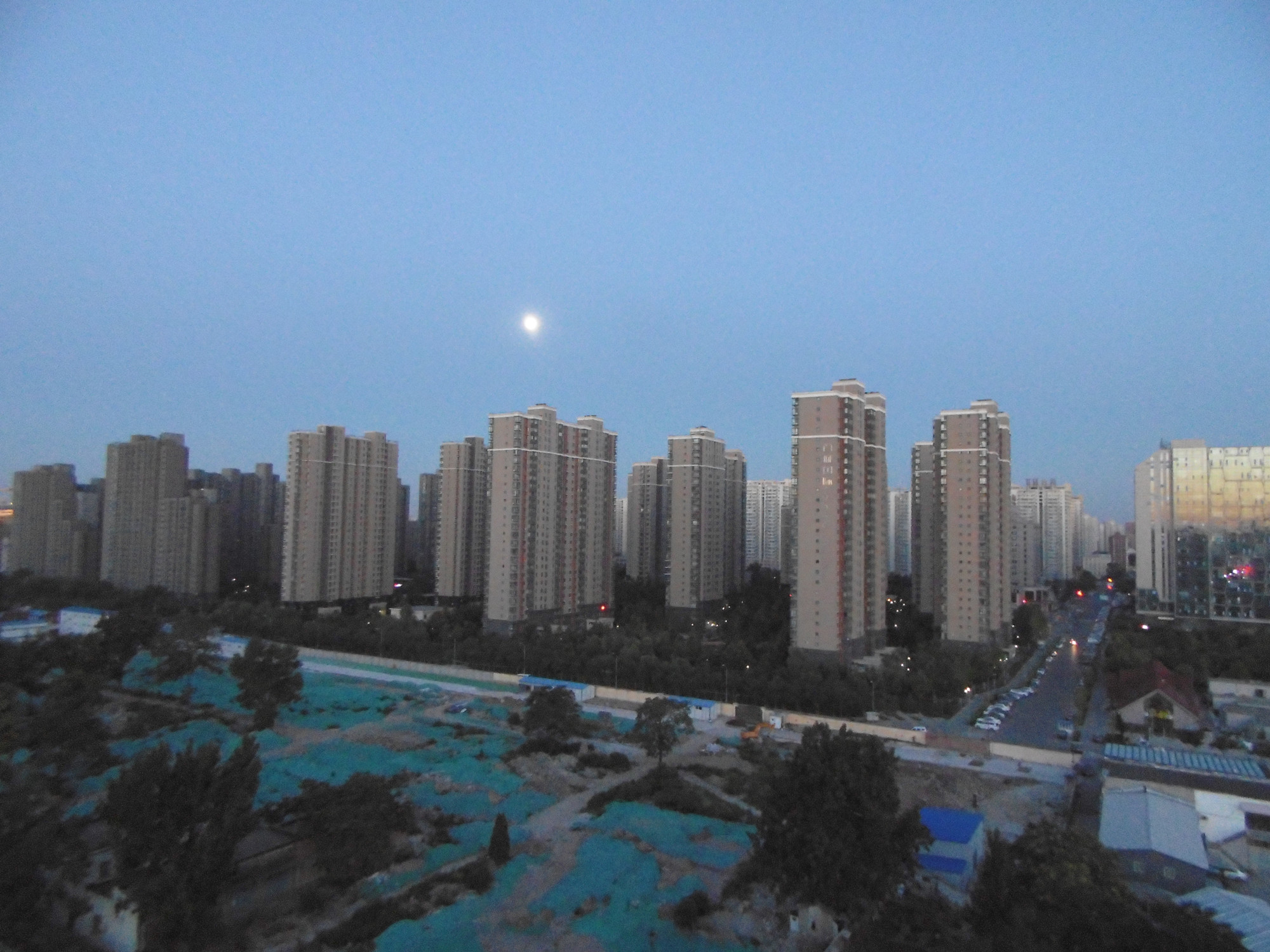 P1000318_.jpg
