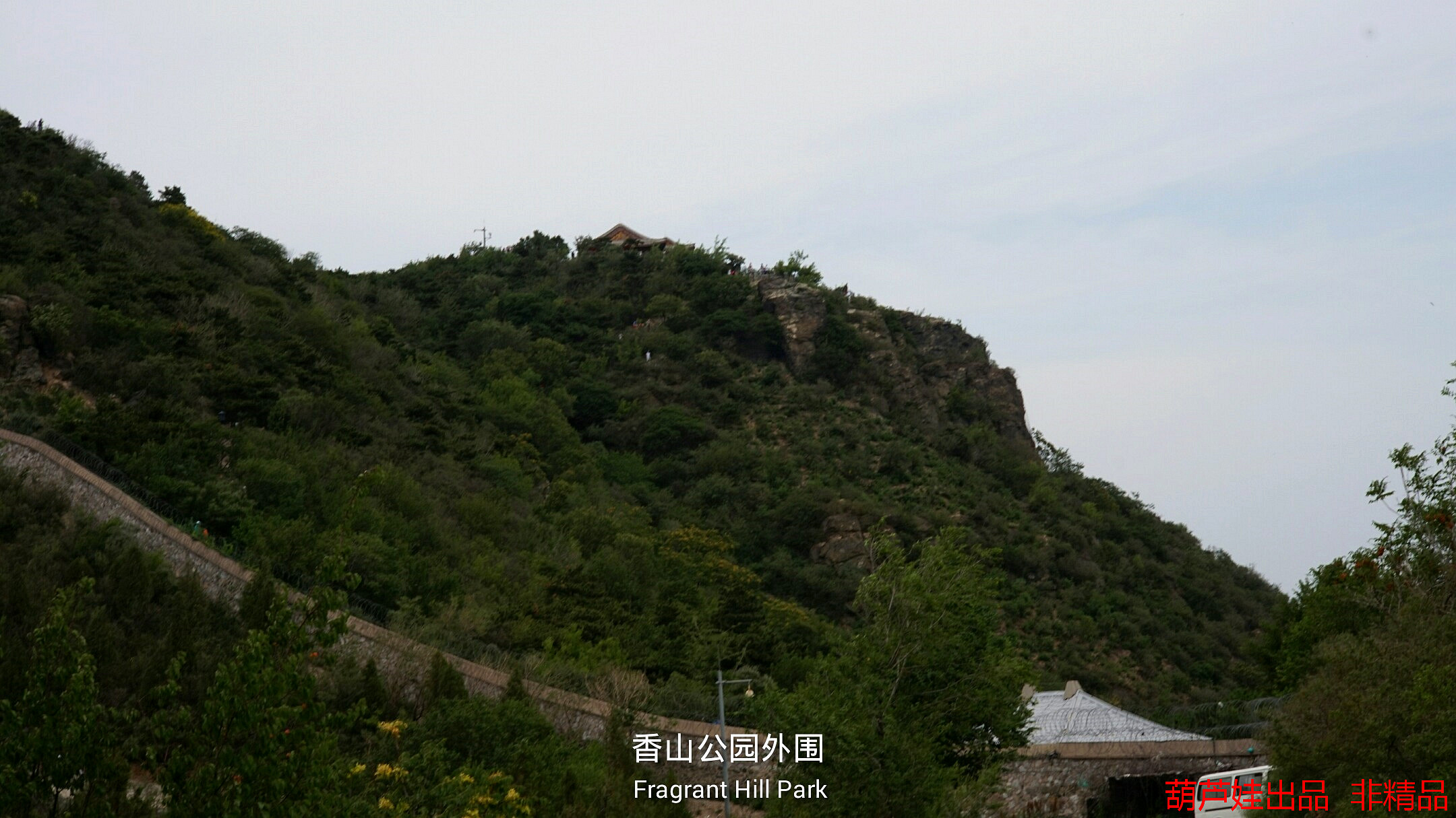 IMG_1438328379584.jpg