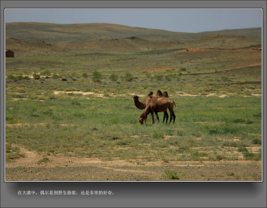 ½Уޣ (17).jpg