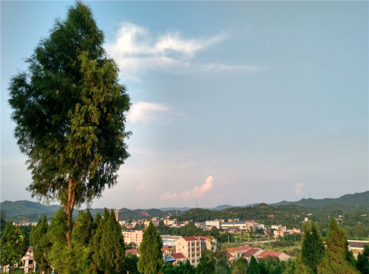 IMG_20150801_185702_HDR.jpg