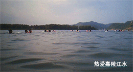 8.gif