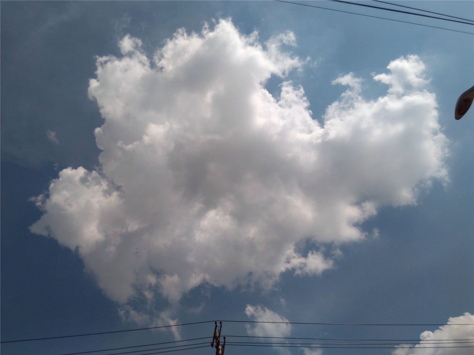 IMG_20150802_154012.jpg