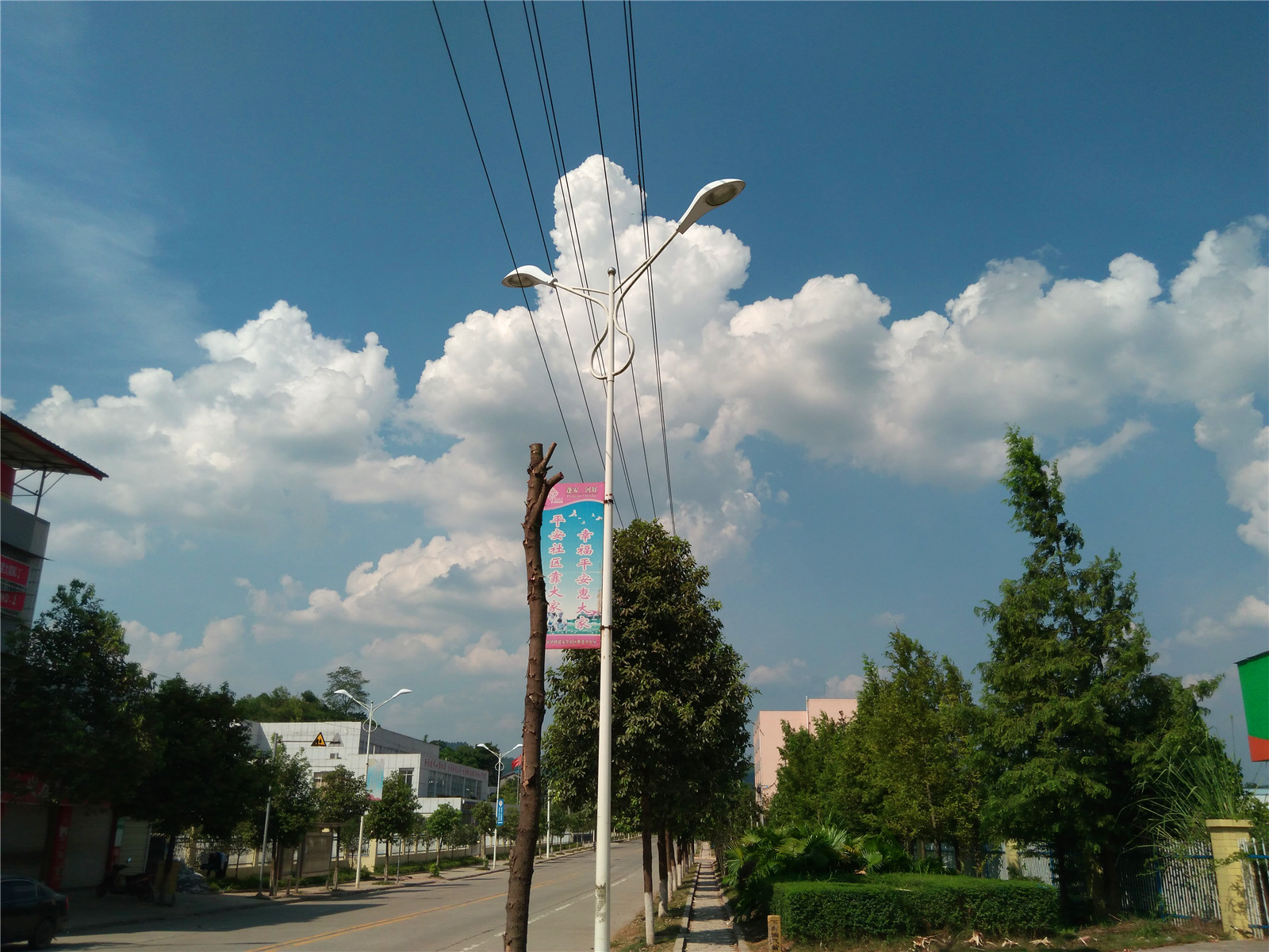 IMG_20150802_155519.jpg