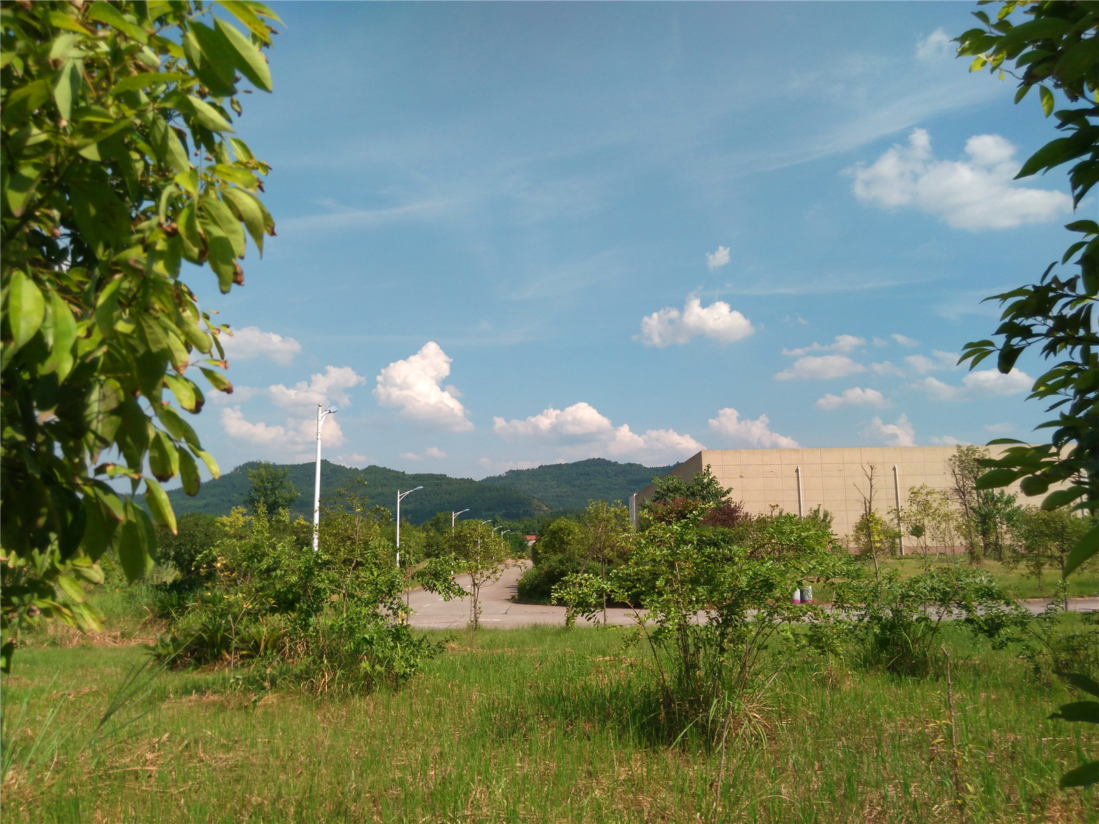 IMG_20150802_155557.jpg