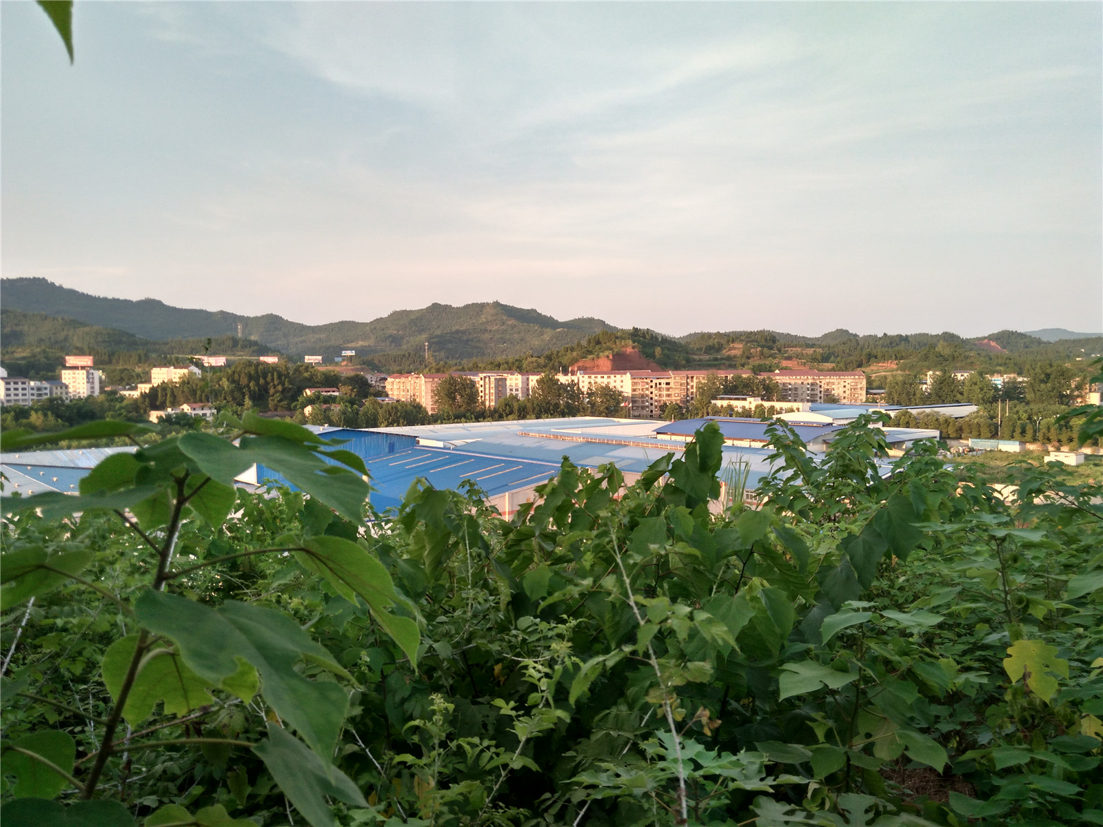 IMG_20150802_191657_HDR.jpg
