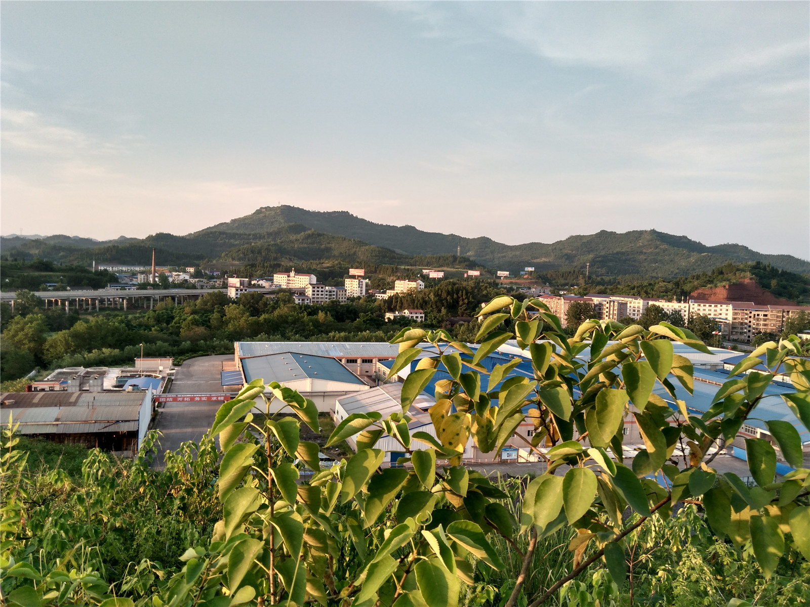 IMG_20150802_191841_HDR.jpg
