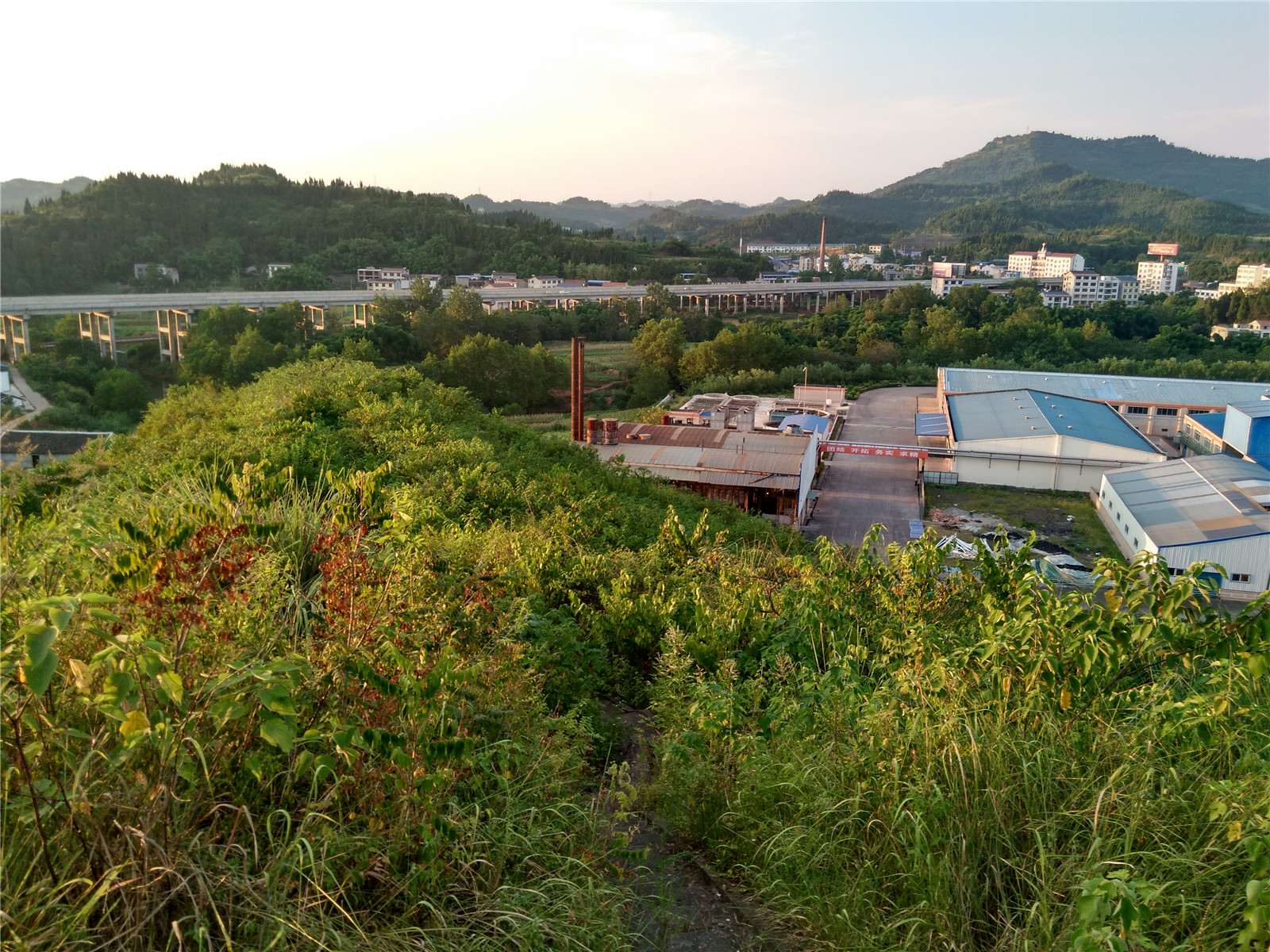 IMG_20150802_191934_HDR.jpg
