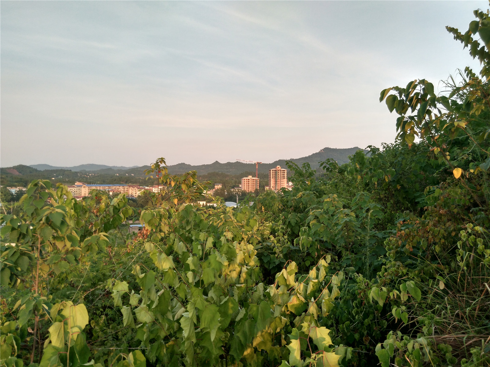 IMG_20150802_192403_HDR.jpg