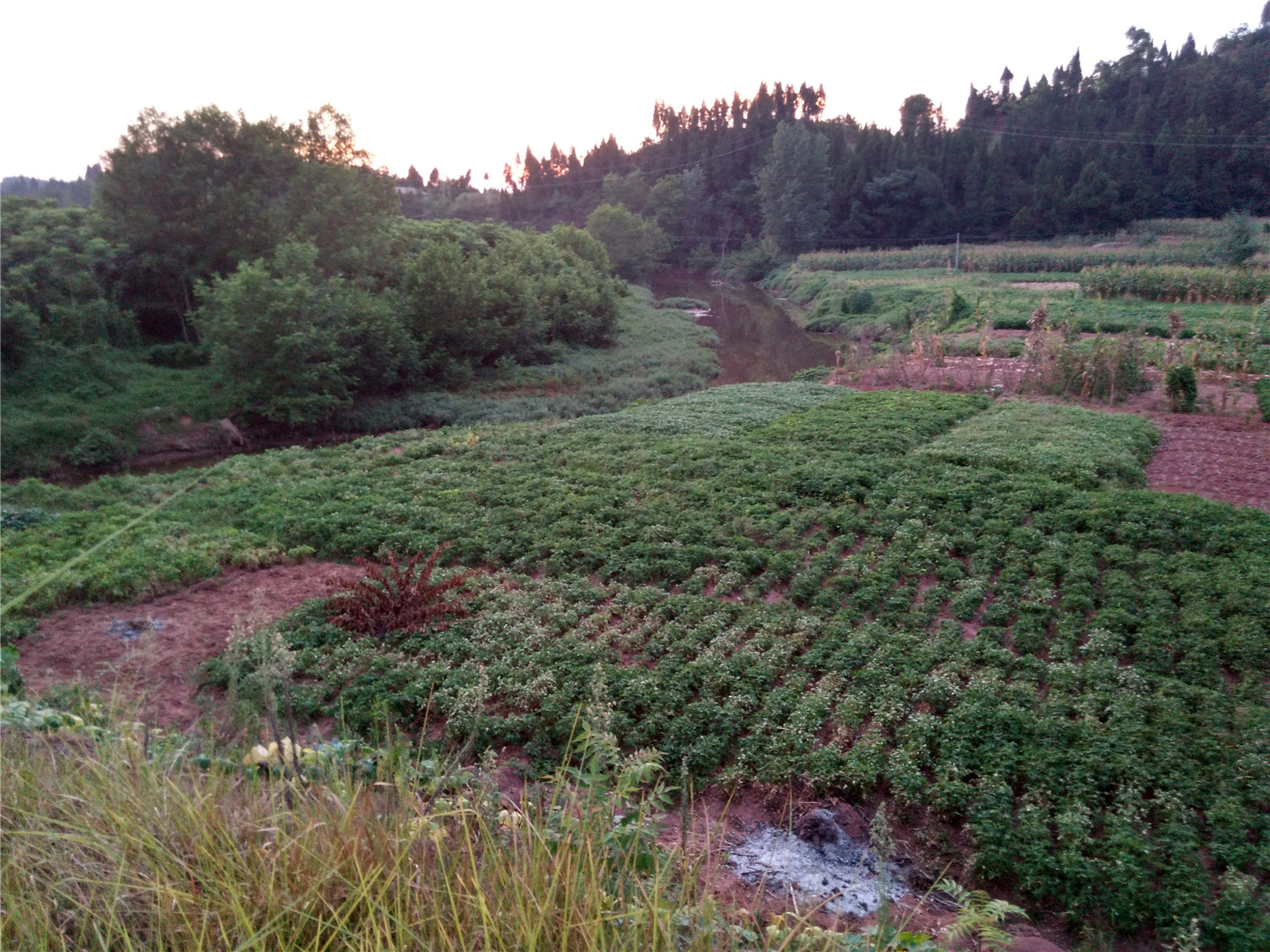 IMG_20150802_194906_HDR.jpg