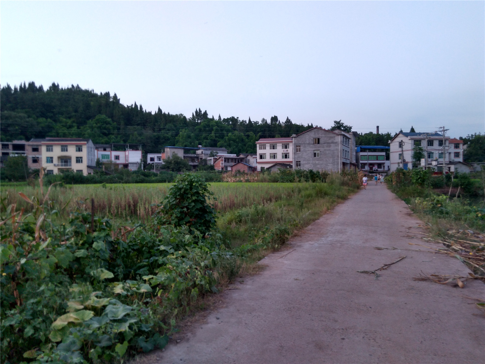 IMG_20150802_195148_HDR.jpg