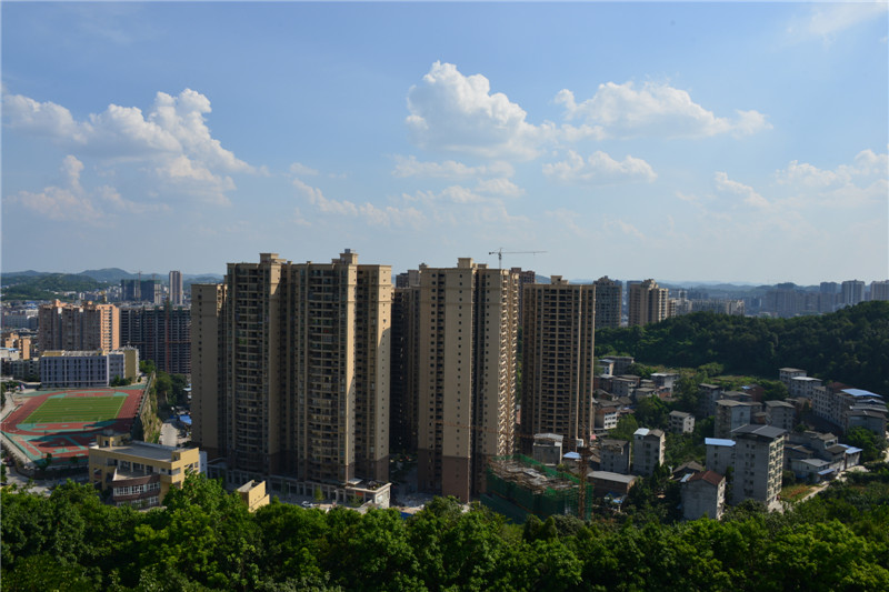 DSC_8451.JPG