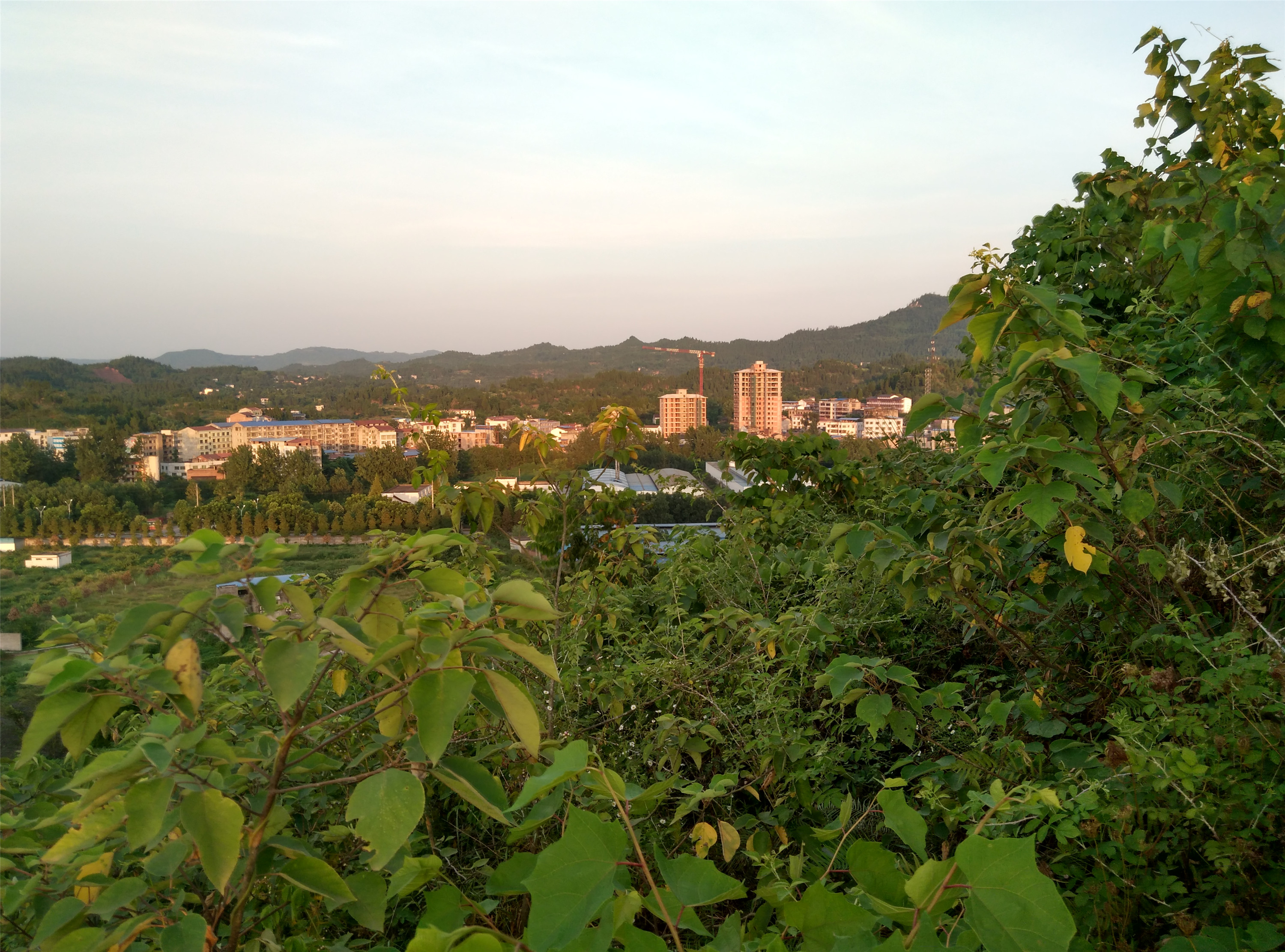 IMG_20150802_192236_HDR_.jpg