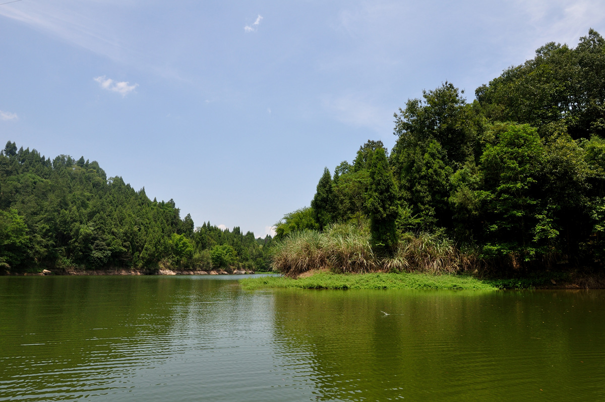 DSC_0862.jpg