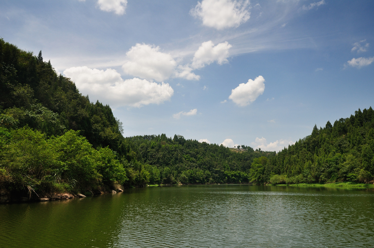 DSC_0876.jpg