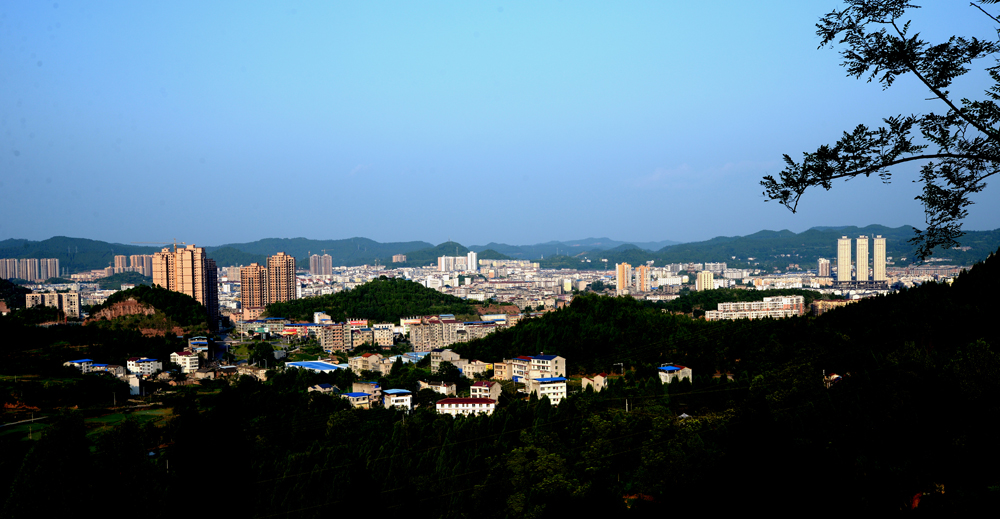 DSC_0382.jpg