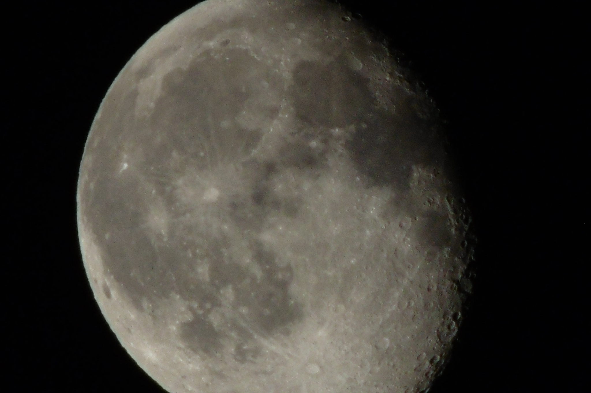 P1000478.JPG