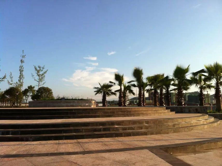 夕阳下的金犍为