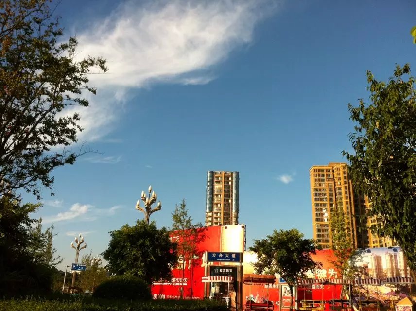 夕阳下的金犍为