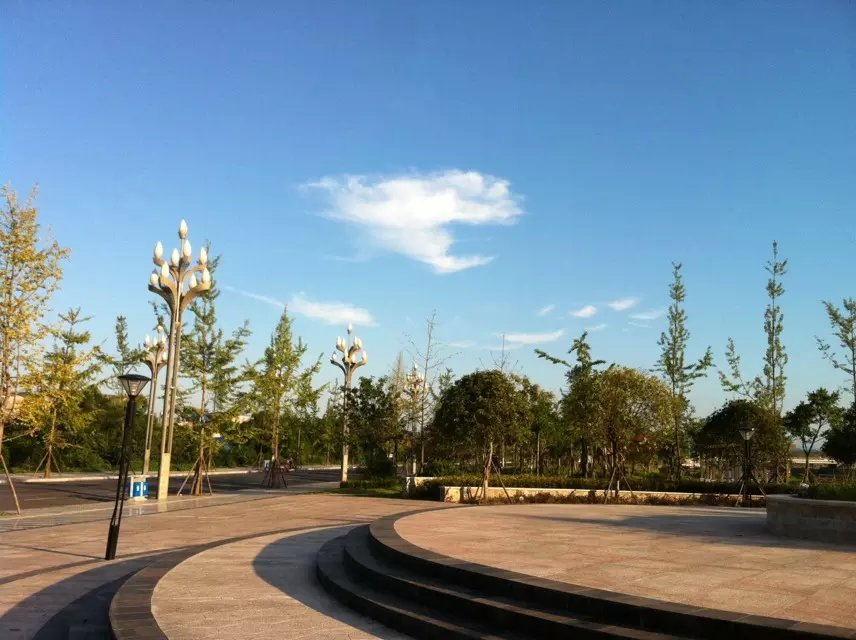 夕阳下的金犍为