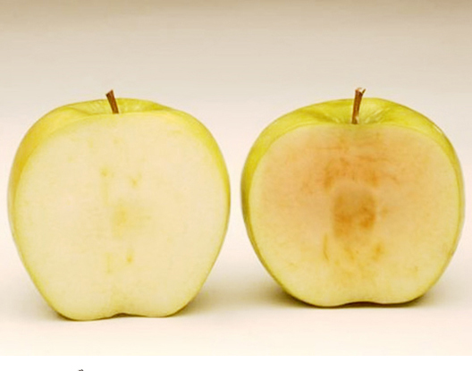 去了皮的苹果放久了也会"生锈".