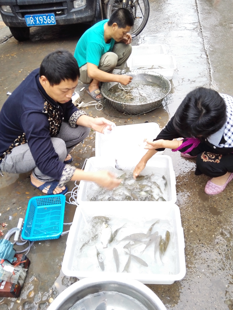 IMG_20150625_065709.jpg