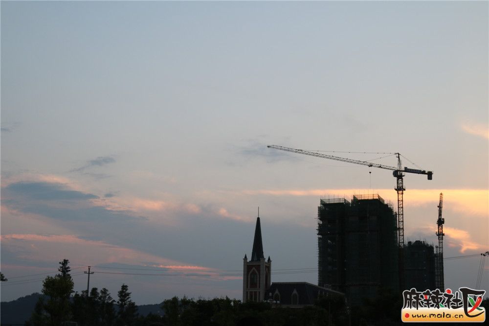 IMG_7096.JPG
