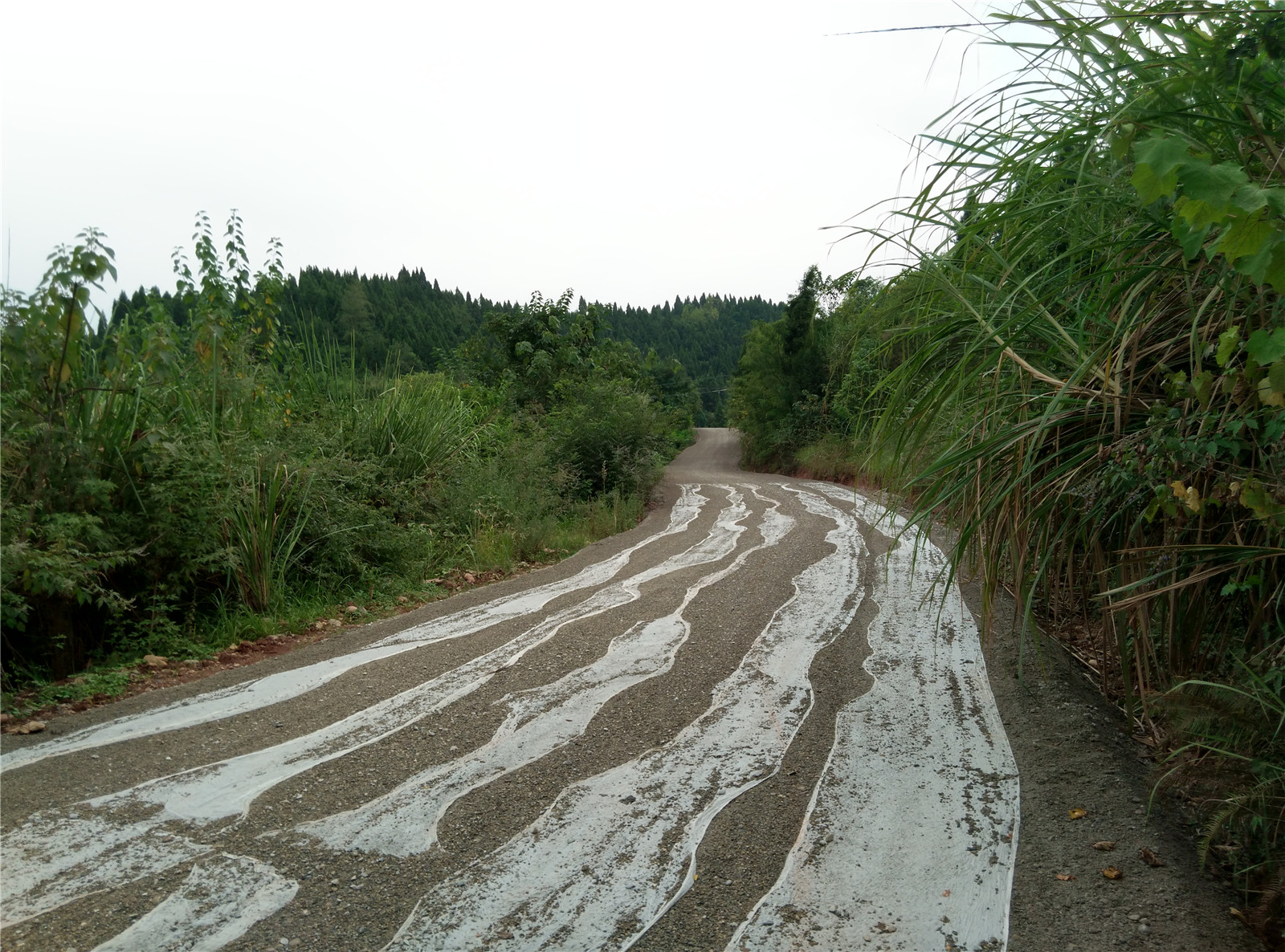 IMG_20150808_161408_HDR.jpg