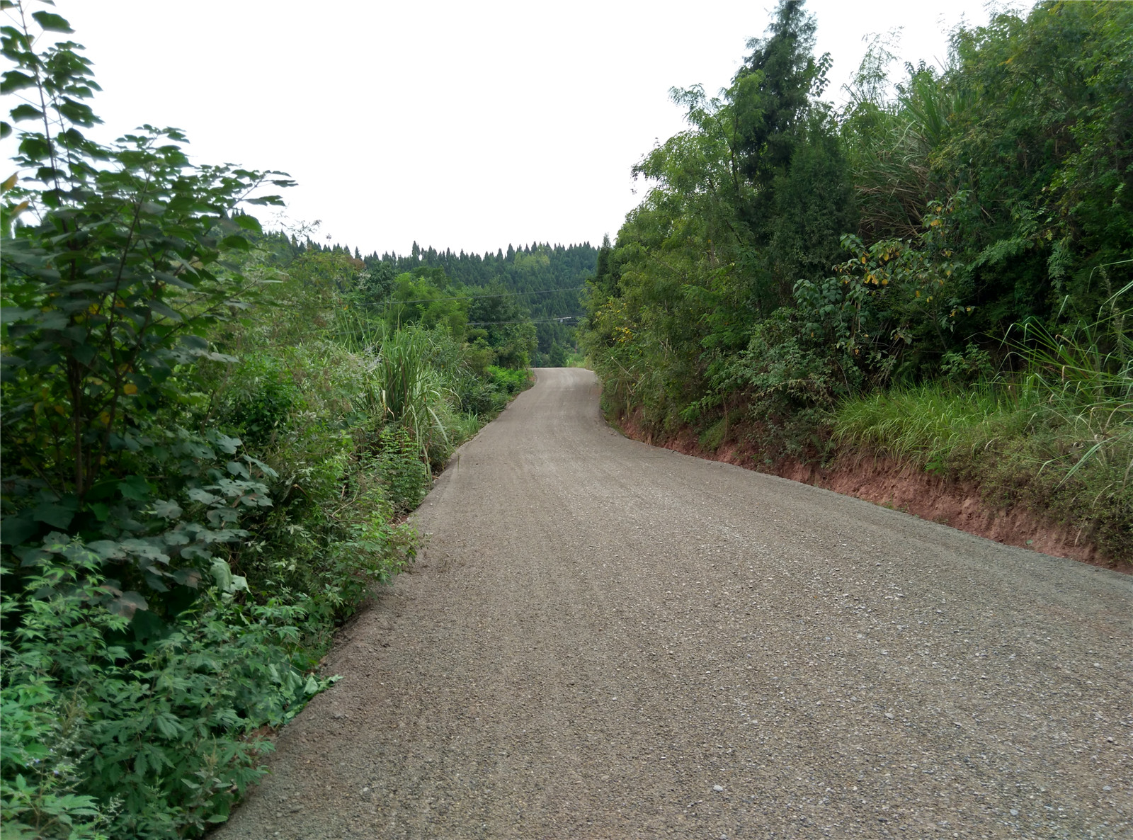 IMG_20150808_161452_HDR.jpg