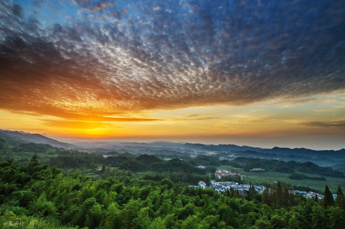 conew_dsc_0584.jpg