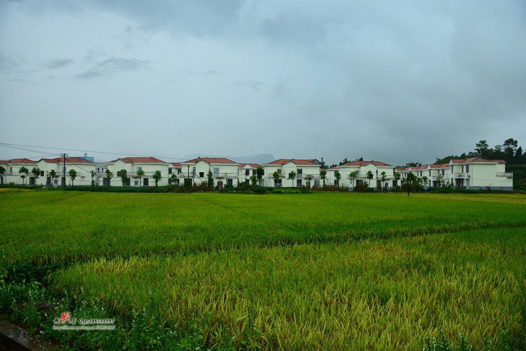 DSC_0849.jpg
