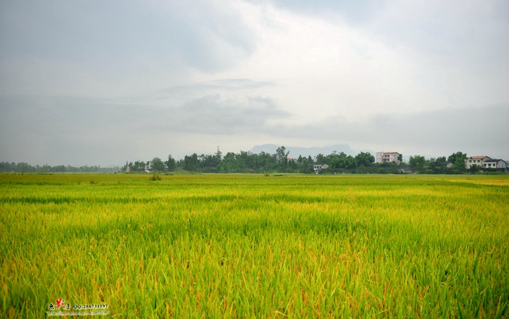 DSC_0914.jpg