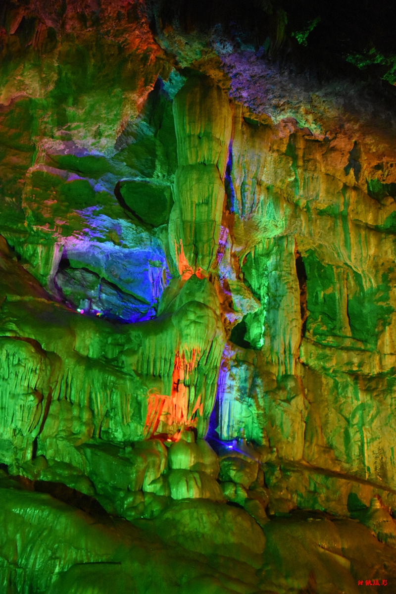 DSC_7465.JPG
