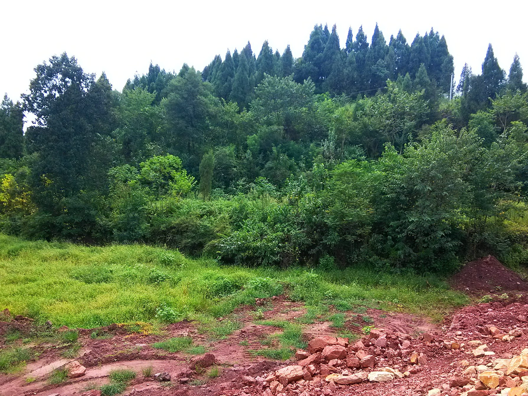 IMG_20150809_113954.jpg