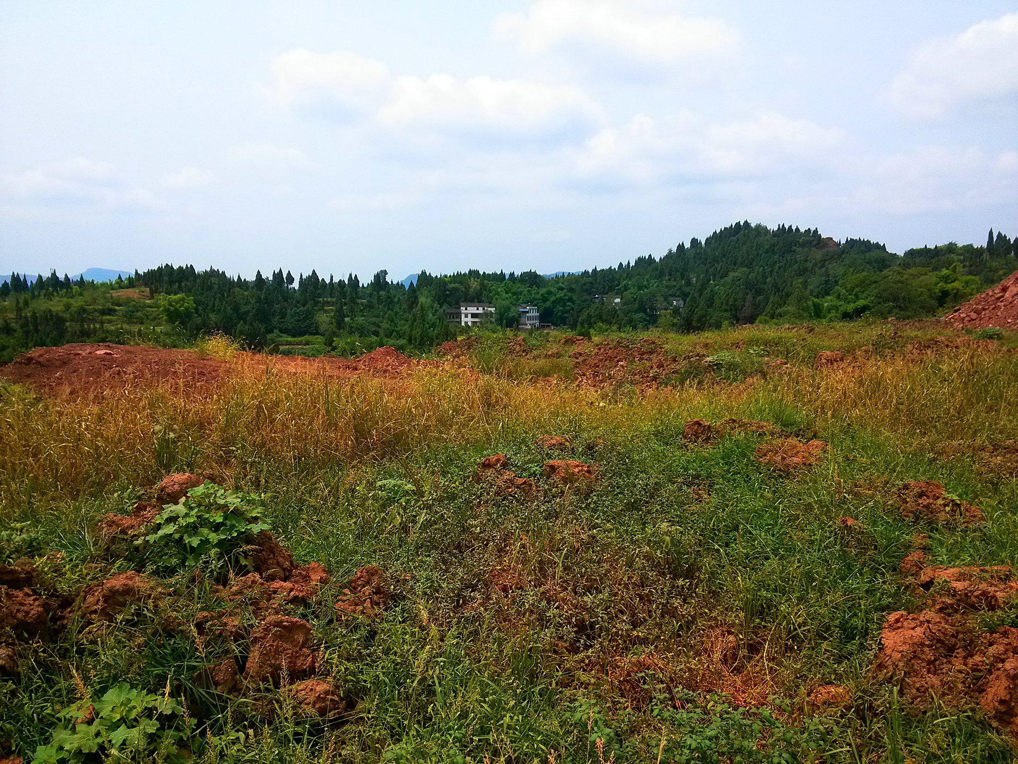 IMG_20150809_120533.jpg