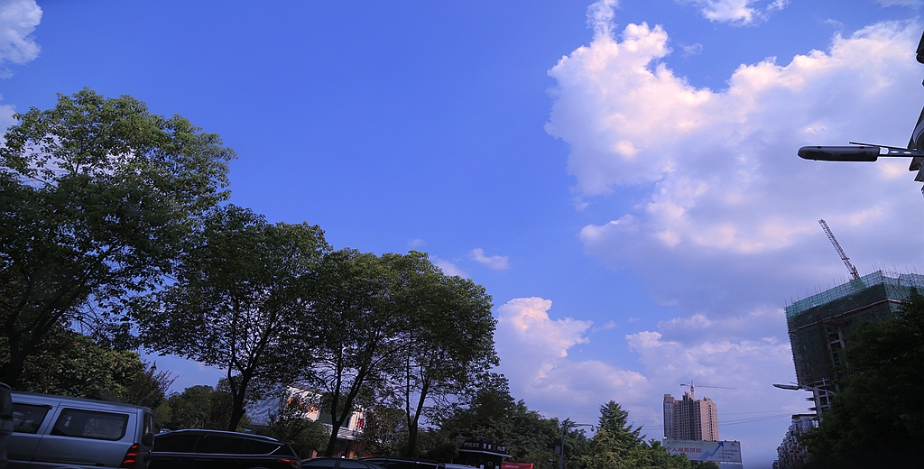 S98A7816_.jpg