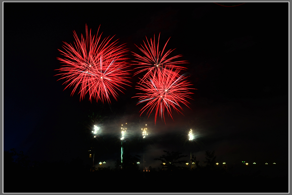 DSC_6546_.jpg
