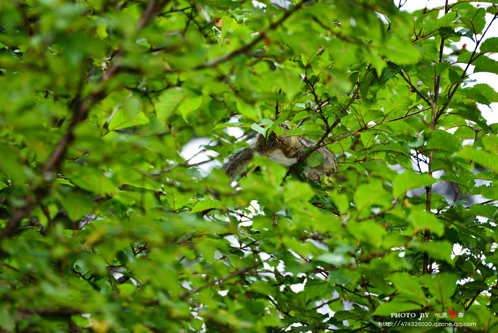 DSC_6038.jpg