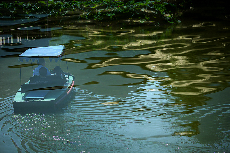 DSC_8732.JPG