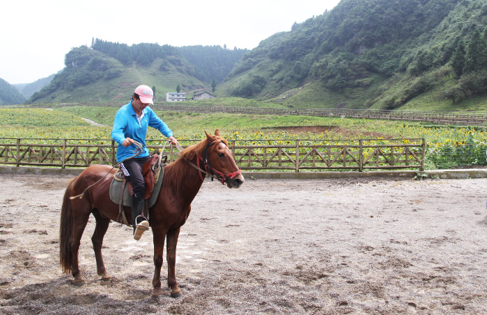 武隆行之仙女山上赛马埸