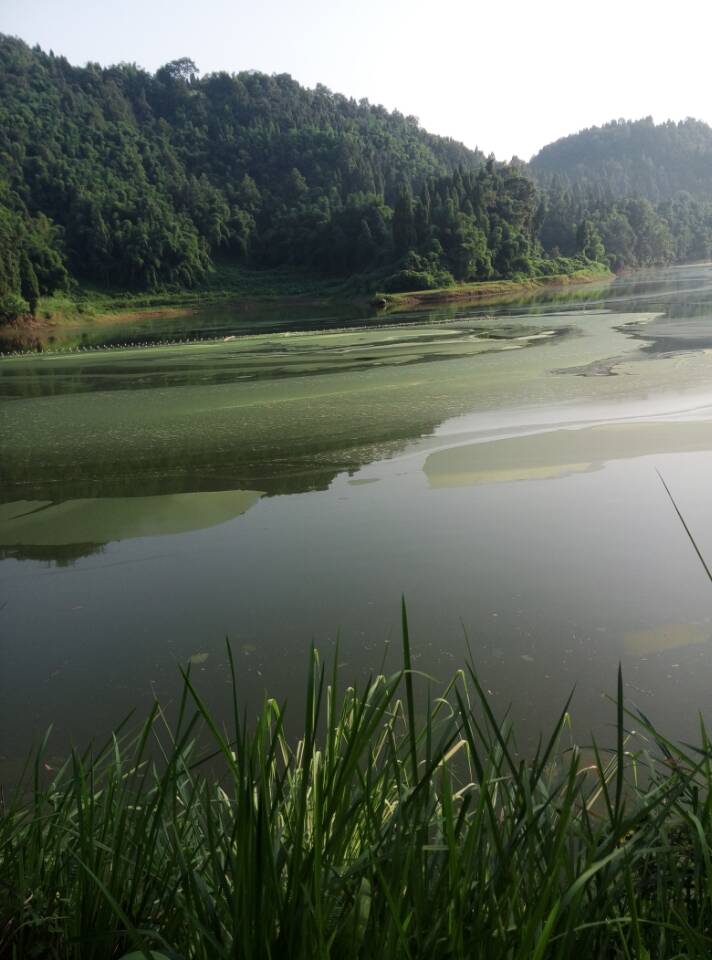 广安市七一水库管理处 主任 胡辉在水库污染问题相关回答疑似受贿.