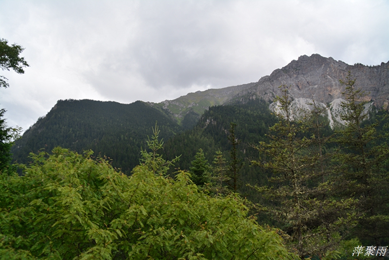 DSC_0004.JPG